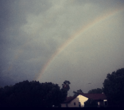 five reasons i love florida