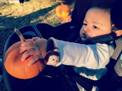 Joseph First Trip To The Pumpkin Patch
