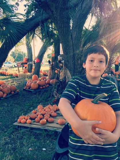 Pumpkin Patch