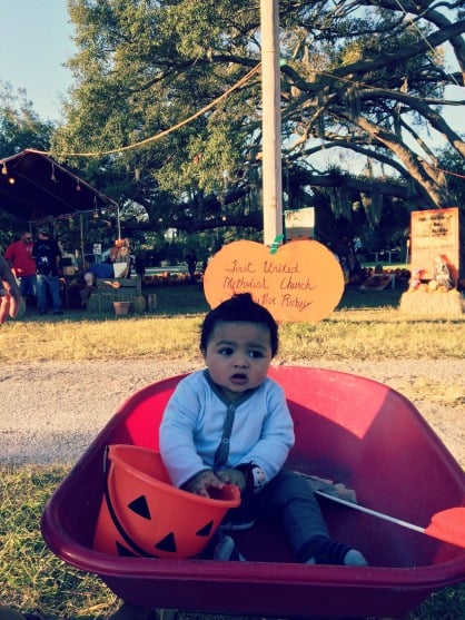 Pictures from the pumpkin patch