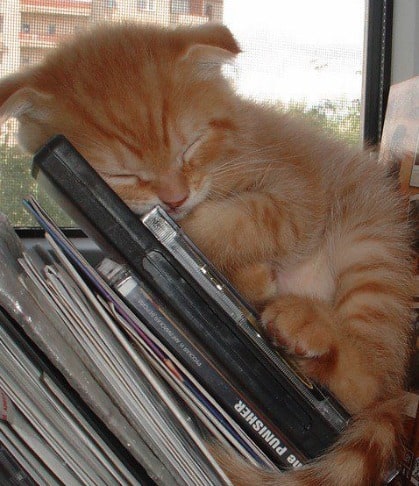Just Another Manic Monday