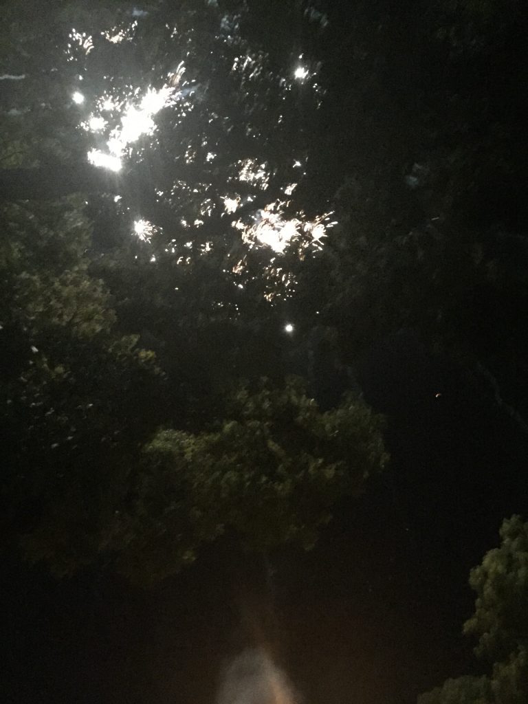Fourth of July Weekend Pictures
