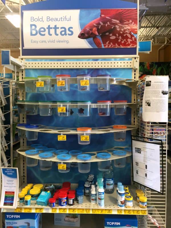 Petsmart4