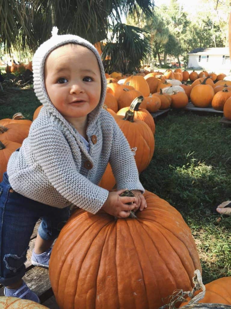 Saturday Pumpkin Patch Fun Saturday Pumpkin Patch Fun