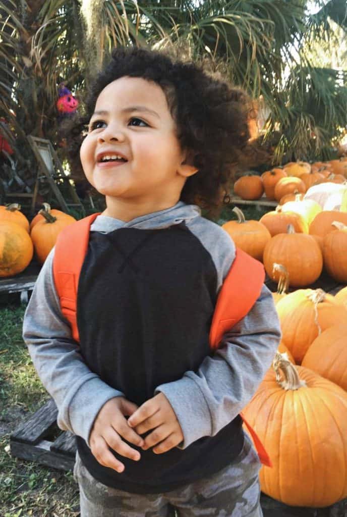 Saturday Pumpkin Patch Fun Saturday Pumpkin Patch Fun