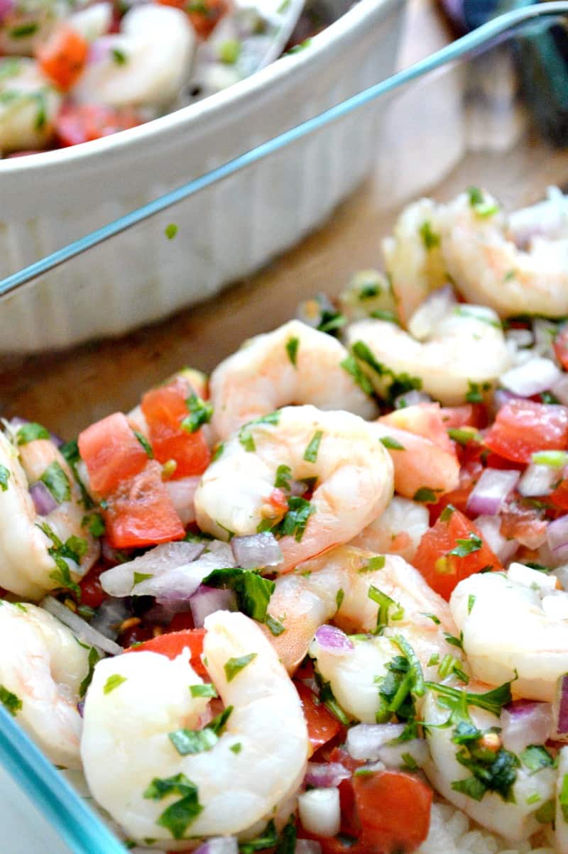 shrimp ceviche lasagna