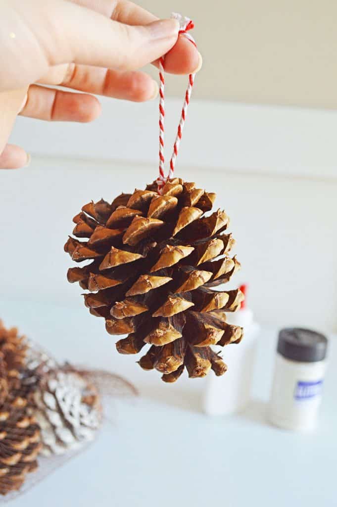 DIY Glitter Pine Cone Ornaments