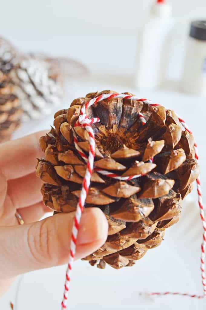 DIY Sparkling Pinecone Ornaments