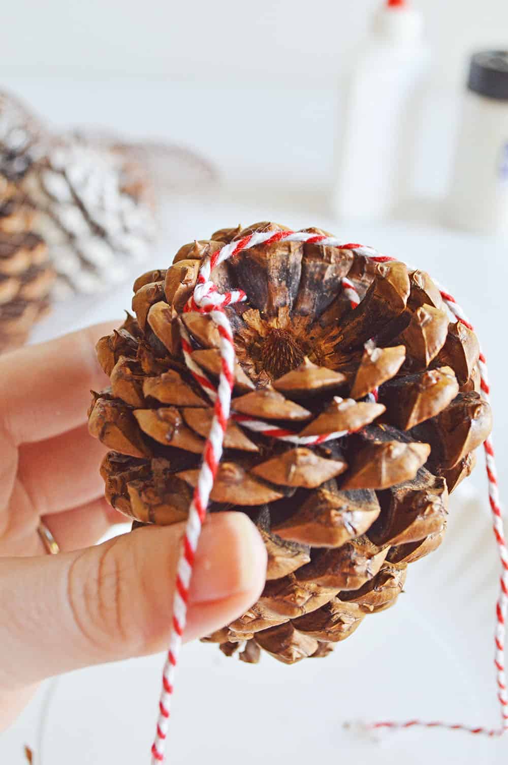 DIY Glitter Pine Cone Ornaments Stylish Cravings