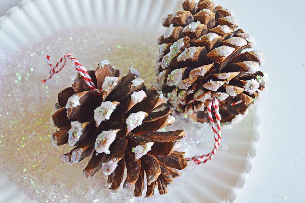 Snowy, Sparkly Pine Cone Ornaments