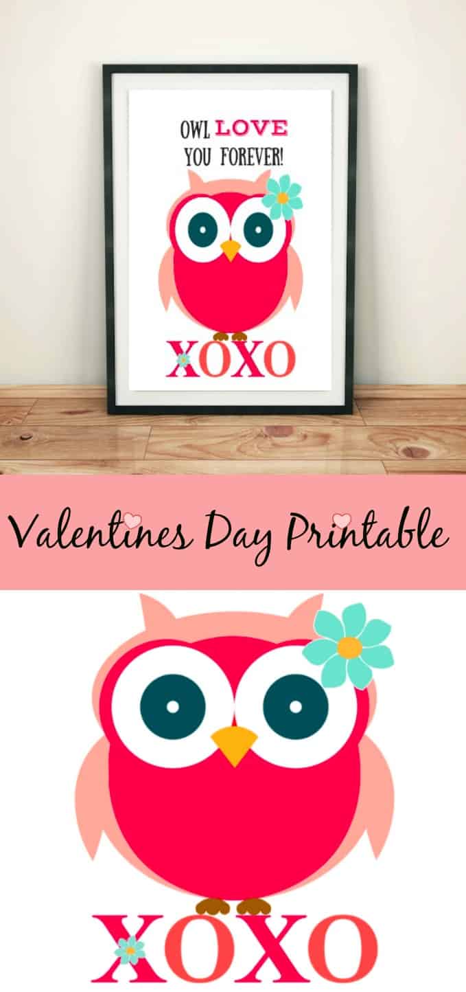 free-valentines-day-owl-printable-stylish-cravings