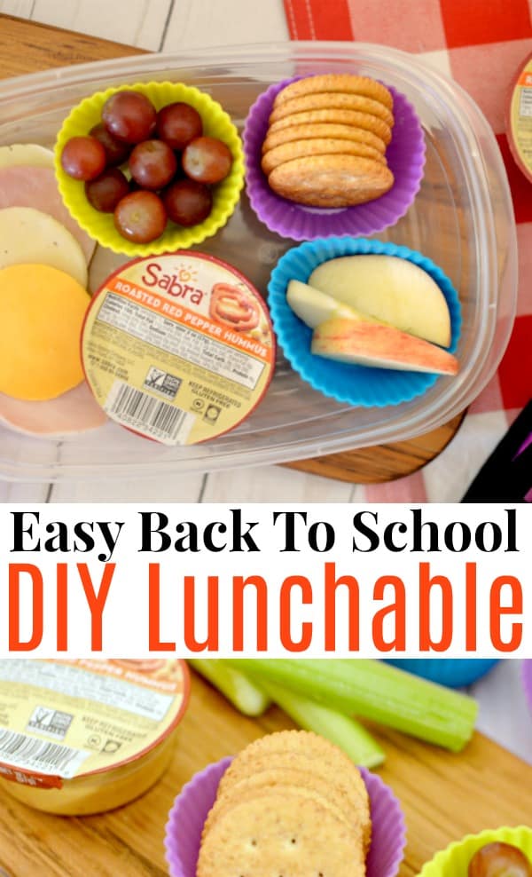 Easy DIY Lunchable Recipe For Picky Toddlers