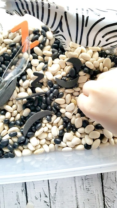 DIY Zebra Sensory Bin