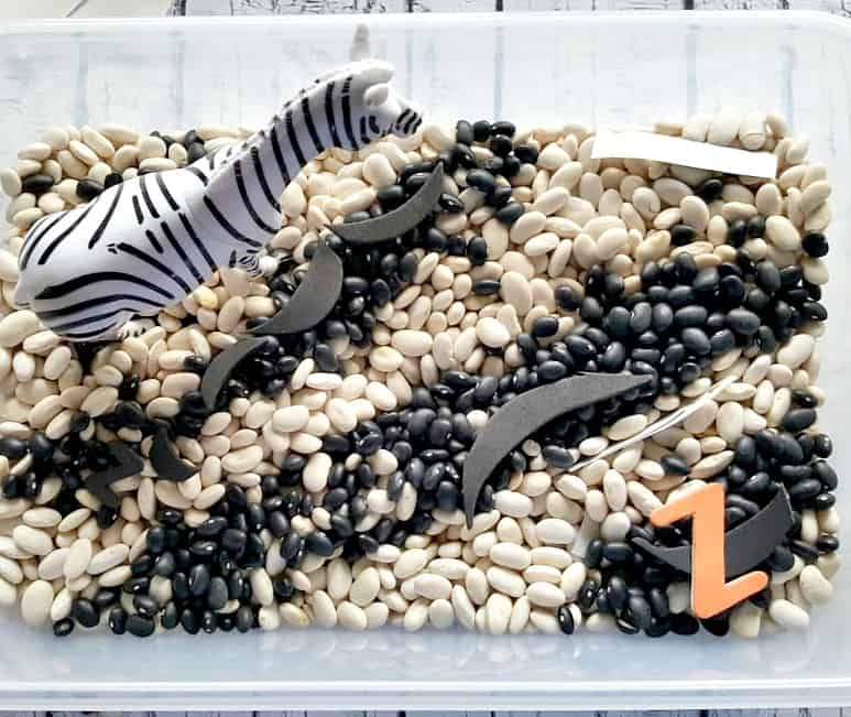 DIY Zebra Sensory Bin