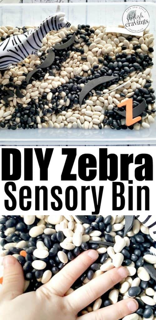 DIY Zebra Sensory Bin