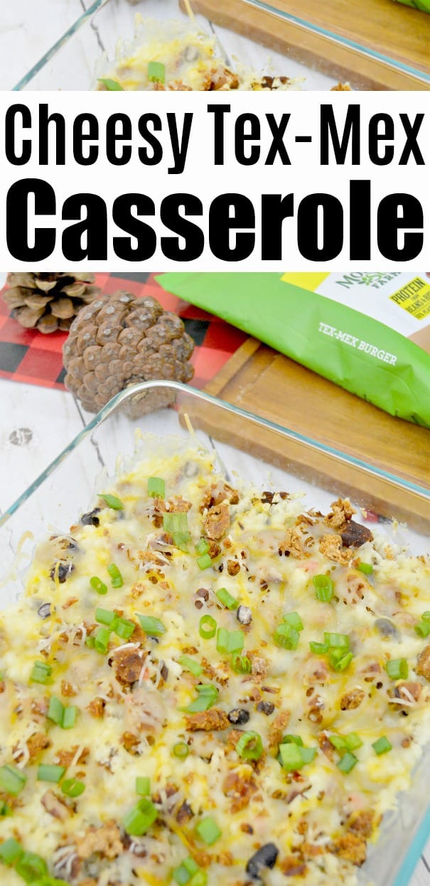 Cheesy Tex Mex Casserole