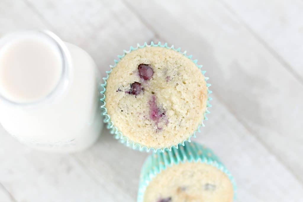 Keto Blueberry Muffins