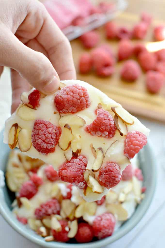 Frozen Yogurt Bark