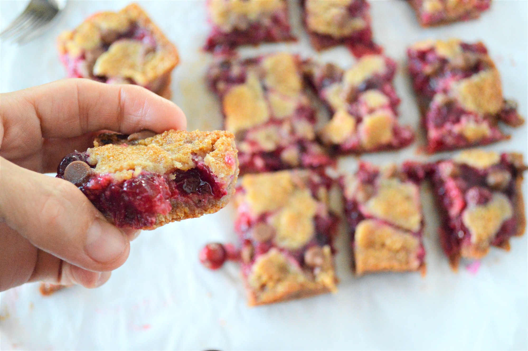 LowCarb Cranberry Bars Easy Keto Holiday Recipe
