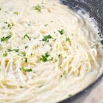 Keto Roasted Garlic Alfredo Sauce With Palmini Noodles