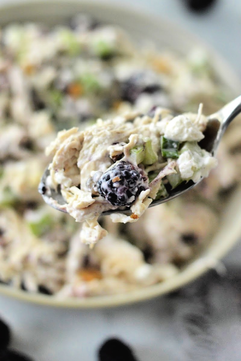 Low Carb Blackberry Cottage Cheese Chicken Salad