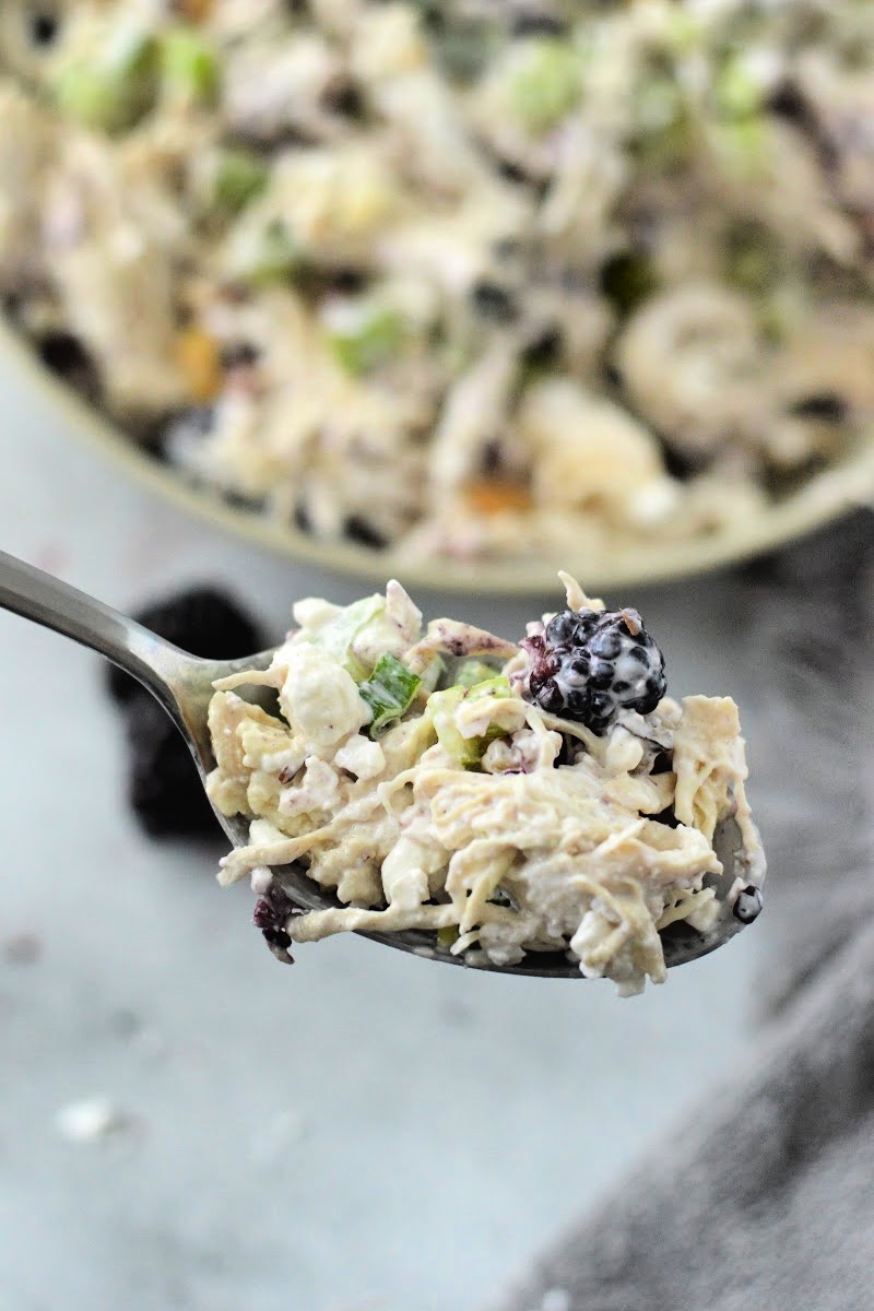 A spoonful of Low Carb Blackberry Cottage Cheese Chicken Salad
