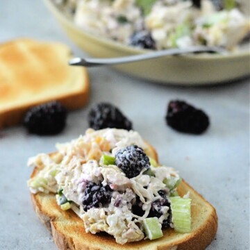 Low Carb Blackberry Cottage Cheese Chicken Salad