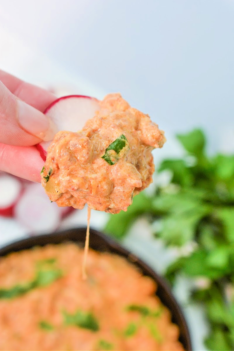 Keto Sausage and Chorizo Dip