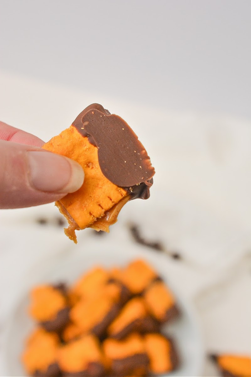 Keto Cheez It Peanut Butter and Chocolate Bites
