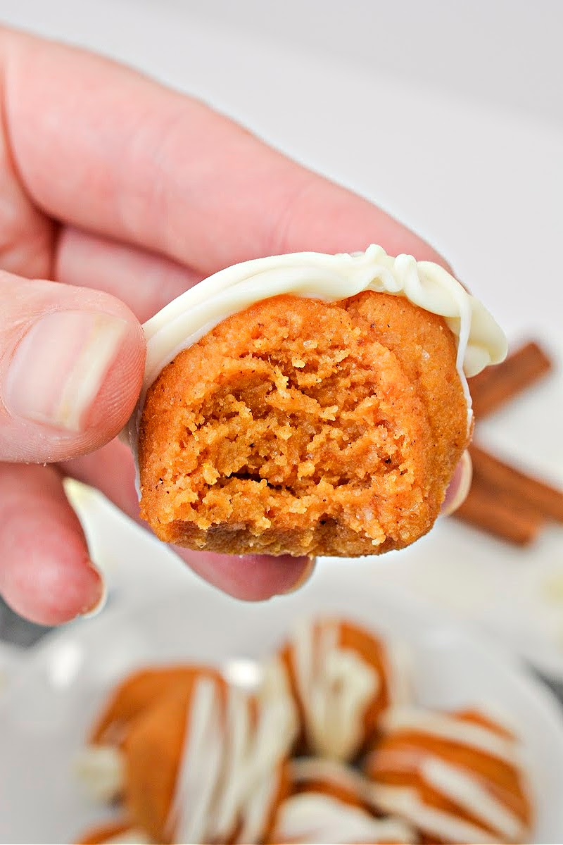 No Bake Keto Pumpkin Cake Balls