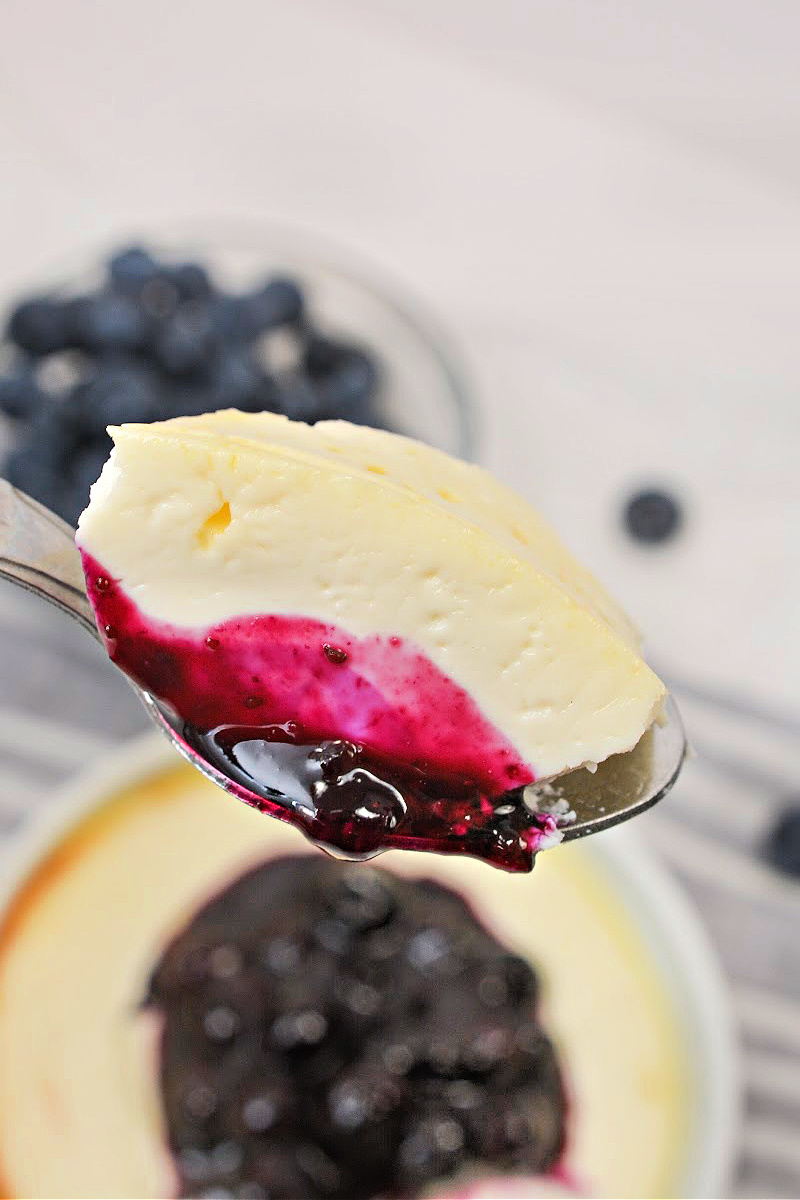 Low-Carb Blueberry Yogurt Cheesecake